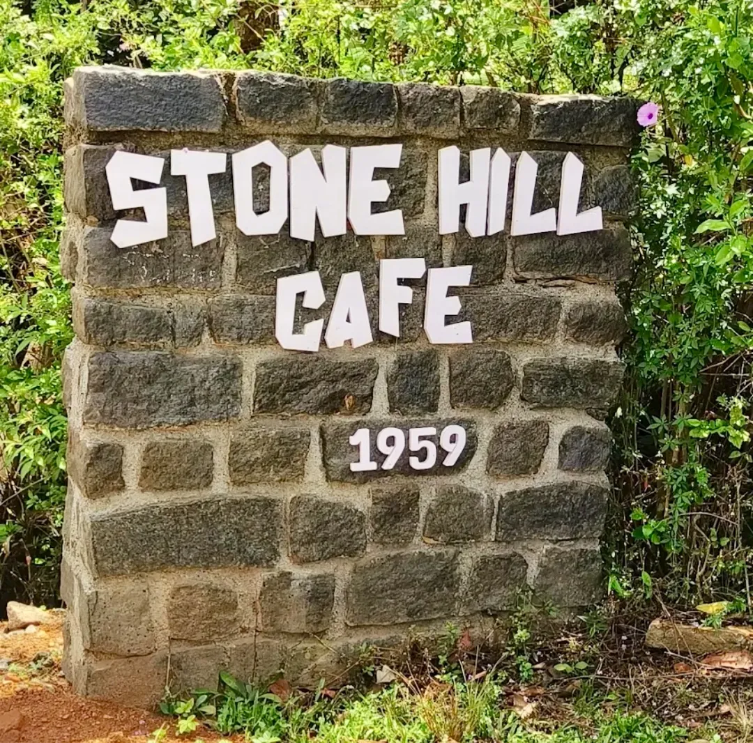 "Stone Hill Cafe 1959" carved into a dry stone wall, framed by greenery.